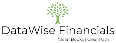 DataWise Financials - Clean Books. Clear Path.